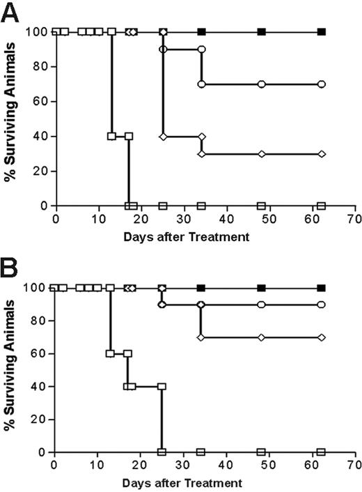 Figure 8. Analysis of cumulative survival of mice bearing Ramos lymphoma xenografts treated with PRIT using anti-CD20 1F5 (scFv)4SA fusion protein and 1F5 Ab-SA chemical conjugate. Groups of 10 mice bearing approximately 100 mm3Ramos tumor xenografts were treated as described in Figure 7 and analyzed for survival as a function of time. Treatment groups included mice treated with 1.4 (⋄) and 2.8 (○) nM of 1F5 (scFv)4SA, 1.4 nM of control CC49 (scFv)4SA (□), or 1.4 nM of 1F5 Ab-SA chemical conjugate (▪), followed 20 hours later by 5.8 nM CA, and 4 hours after that with (A) 800 or (B) 1200 μCi (29.6 or 44.4 MBq, respectively) 90Y-DOTA-biotin. Survival curves in this figure correspond to treatment groups designated in Figure 7.