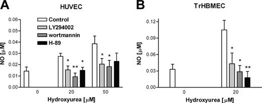 Figure 3. Measurement of NO production in endothelial cells during incubation with hydroxyurea in presence or not of inhibitors of PKA and PKB/Akt. (A) After preincubation period with 20 μM H-89 (PKA inhibitor), 50 μM LY294002, and 0.1 μM wortmannin (PI 3-kinase inhibitors), HUVECs were treated with 2 different concentrations of hydroxyurea (20 and 50 μM), and aliquots were collected for measurement after 1 hour of incubation. (B) TrHBMECs were preincubated with PKA and PI 3-kinase inhibitors, and measurements were made after 1 hour of incubation with hydroxyurea. Values are mean ± SEM (n = 3). *P < .05 and **P < .01 compared with cells treated with only hydroxyurea.