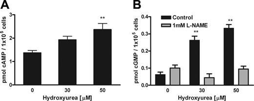Figure 5. Hydroxyurea increased cAMP and cGMP levels in HUVECs. (A) Hydroxyurea showed dose-dependent induction of cAMP levels in HUVECs after 30 minutes of incubation. (B) Hydroxyurea showed dose-dependent induction of cGMP levels in HUVECs after 30 minutes of incubation, whereas pretreatment with L-NAME inhibited this effect. Values represent mean ± SEM (n = 3); **P < .01 compared with cells untreated with hydroxyurea.