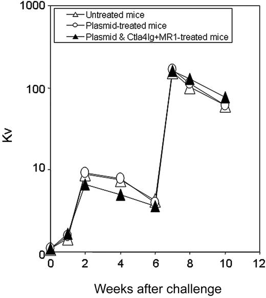 Figure 7. Bacteriophage challenge of hemophilia mice following naked gene transfer and transient immunomodulation. Tolerized hemophilia A mice (n = 2, ▴), selected mice from the group shown in Figure 3E,F) were challenged twice 4 weeks apart with the neoantigen bacteriophage Φx174 (2 × 108 PFU/each challenge). Plasmid-treated (n = 2, ○) and untreated hemophilia A mice (n = 2, ▵) were used as controls. Phage-neutralizing antibody activity was expressed as the rate of phage inactivation (Kv) using a standard formula.24 Mice not receiving bacteriophage did not produce neutralizing antibody (data not shown).