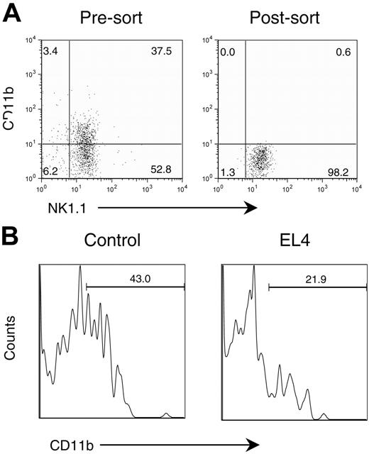 Figure 7. Tumors impede the maturation of adoptively transferred CD11b- NK cells. Congenic (CD45.1) immature NK cells (NK1.1+CD11b-) from bone marrow were adoptively transferred into control and EL4-bearing mice (CD45.2). Two weeks after the adoptive transfer, splenocytes were analyzed by flow cytometry. (A) Expression of CD11b and NK1.1 in presorted and postsorted samples. The postsorted NK1.1+CD11b- cells were used for adoptive transfer. (B) Histogram of adoptively transferred NK cells in PBS-treated host or in tumor-bearing host. The profiles depict the expression of CD11b among the CD45.1+NK1.1+ cells and are representative of data from 2 separate experiments.