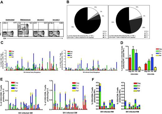 Figure 2. SIV-specific T-cell responses in naturally SIV-infected SMs. The responses were measured by intracellular cytokine staining for IFN-γ, TNF-α, and IL-2 in response to peptide pools encompassing the entire sequence of gag, pol, env, and nef genes of SIVmac239. A positive T-cell response was defined as cytokine production greater than unstimulated negative control by at least 0.01%. (A) Representative plot of an IFN-γ response to Gag pool no. 3 and Env pool no. 3 (right) along with the unstimulated negative control (left) and positive control (PMA and ionomycin: middle). (B) Distribution of naturally SIV-infected SMs based on the presence of above-background responses to SIV by CD3+CD8+ (right) and CD3+CD8- (left) T cells. Animals were divided as producing no cytokine, IFN-γ only, TNF-α only, or both cytokines in response to any pool of SIVmac239 peptides. (C) Magnitude of SIV-specific T-cell responses defined as percent of CD3+CD8+ (left) or CD3+CD8- (right) T cells producing either IFN-γ or TNF-α in response to SIVmac239 peptide stimulation. Each bar represents an individual animal. The contribution of each of the tested antigens to the total SIV-specific T-cell response is shown. (D) Average magnitude of the responses to the 4 tested SIV antigens by CD3+CD8+ (left) and CD3+CD8- (right) T cells. (E) Percentage of CD3+CD8+ (left) or CD3+CD8- (right) T cells producing IL-2 in response to SIVmac239 peptide stimulation in 39 SIV-infected SMs. The contribution of each of the tested antigens to the total SIV-specific T-cell response is shown. (F) Magnitude of SIV-specific T-cell responses in 8 experimentally SIVsm-infected rhesus macaques (RMs) defined as percent of CD3+CD8+ (left) or CD3+CD8- (right) T cells producing IFN-γ or TNF in response to SIV stimulation. The total SIV-specific 6T-cell response is broken down as response to any of the 4 tested SIV antigens.