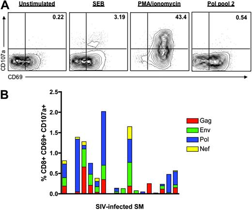 Figure 3. CD8+ T-cell degranulation in response to SIV peptides in naturally SIV-infected SMs. In all experiments, degranulation was measured as the percentage of CD3+CD8+ T cells coexpressing CD69 and CD107a. (A) Representative plot of a positive response to SIV-Pol pool no. 2 (right) along with the unstimulated negative control (left) and 2 positive controls (SEB and PMA + ionomycin: middle). (B) Percentage of CD8+ T cells that degranulate in response to SIV peptide stimulation in 18 naturally SIV-infected SMs. Each bar represents an individual animal. The contribution of each of the tested antigens to the total SIV-specific T-cell response is shown.
