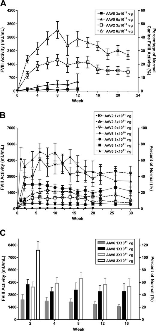Figure 1. Relative efficacy of different serotypes of AAV-cFVIII delivered by portal-vein injection to hemophilia A mice. Canine FVIII activity in mouse plasma was measured by Coatest and converted to percentage of normal canine FVIII activity (7000 mU/mL). Results presented are the mean and standard error of the mean (SEM). (A) Comparisons between mice dosed with 3 × 1011 and 6 × 1011 vg/mouse of AAV5-cFVIII (n = 4/dose) or AAV2-cFVIII (n = 16 at 3 × 1011 vg/mouse and n = 8 at 6 × 1011 vg/mouse, respectively). (B) Comparisons between mice that received AAV2 and AAV6 vectors. AAV2-cFVIII was injected at 1 × 1011 (n = 6), 3 × 1011 (n = 16, from panel A), and 9 × 1011 vg/mouse (n = 6); AAV6-cFVIII was injected at 1 × 1010(n = 5), 3 × 1010(n = 6), 1 × 1011 (n = 15), and 3 × 1011 vg/mouse (n = 15). (C) Comparisons between mice treated with 1 × 1011 and 3 × 1011 vg/mouse of AAV6-cFVIII (n = 15/dose, from panel B) and AAV8-cFVIII (n=6/dose). Results after week 2 from mice dosed with 3 × 1011 vg/mouse of AAV8-cFVIII are not shown due to prevalent canine FVIII-neutralizing antibody formation in this group.
