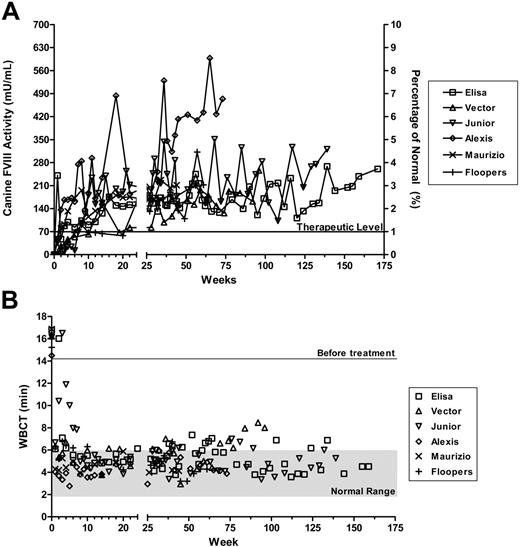 Figure 4. Long-term therapeutic efficacy of AAV-cFVIII in hemophilia A dogs. Elisa, Vector, and Junior received 6 × 1012, 1.5 × 1013, and 2.7 × 1013vg/kg AAV2 vector, respectively; Alexis and Maurizio, 1.0 × 1013vg/kg AAV6 vector; and Floopers, 1.0 × 1013vg/kg AAV8 vector. (A) Plasma FVIII activities as measured by Coatest and converted to percentage of normal canine FVIII activity of 7000 mU/mL. (B) Whole-blood clotting time (WBCT) measured before and after vector infusion. The normal range of canine WBCT is 2 to 6 minutes.
