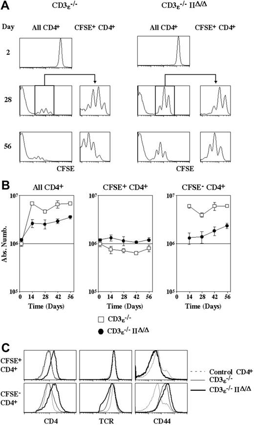 Figure 1. Survival of CD4+ T cells in a lymphopenic environment does not depend on interactions with MHC class II molecules. CFSE-labeled lymph node CD4+ T cells (5 × 106) from normal C57BL6 mice were injected intravenously into CD3ϵ-/-mice and CD3ϵ-/-MHC IIΔ/Δ mice. At various times after transfer, lymph nodes and spleen were recovered and pooled, and single-cell suspensions were prepared. (A) CFSE fluorescence histograms of CD4+ TCRhicells are shown as a function of time after transfer. Histograms on the right are gated on CFSE+ CD4+ TCRhicells. (B) Absolute numbers of total, CFSE+, and CFSE- CD4+ TCRhicells are shown as a function of time after transfer. Data represent mean ± SD. (C) CD4, TCR, and CD44 fluorescence histograms of CFSE+ and CFSE- CD4+ T cells recovered 28 days after transfer are shown in comparison with CD4, TCR, and CD44 fluorescence histograms of control CD4+ T cells from normal C57BL/6 mice.