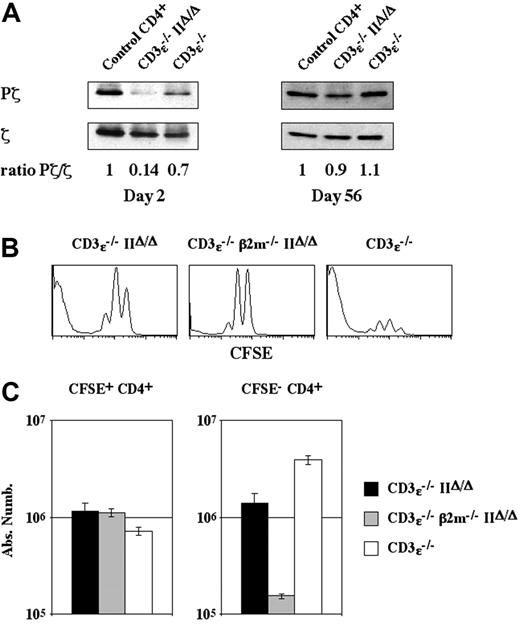 Figure 4. CFSE- CD4+ T-cell generation depends strictly on interactions with MHC molecules. (A) Lymph node CD4+ T cells (5 × 106) were injected intravenously into CD3ϵ-/-mice and CD3ϵ-/-MHC IIΔ/Δ mice. Two or 56 days after transfer, ζ protein levels (ζ) and the extent of ζ chain phosphorylation (Pζ) in recovered CD4+ T cells were determined by immunoblotting, and the Pζ/ζ ratio was calculated. Purified CD4+ T cells from C57BL/6 mice were used as controls. (B-C) CFSE-labeled lymph node CD4+ T cells (5 × 106) from C57BL/6 mice were injected intravenously into CD3ϵ-/- mice and CD3ϵ-/-MHC IIΔ/Δ mice. CFSE-labeled lymph node CD4+β -/- T cells (5 × 106) from C57BL/6 β2m -/- mice were injected intravenously into CD3ϵ-/- β2m -/- MHC IIΔ/Δ mice. CFSE fluorescence histograms of recovered CD4+ TCRhicells are shown 28 days after transfer (B). Twenty-eight days after transfer the absolute numbers of CFSE+ and CFSE- CD4+ TCRhi cells were calculated (C); data represent mean ± SD.