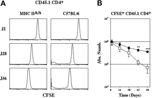 Figure 5. Survival of CD4+ T cells depends on interactions with MHC class II molecules in a nonlymphopenic environment. CFSE-labeled lymph node CD4+ T cells (5 × 106) from C57BL/6 CD45.1 mice were injected intravenously into MHC IIΔ/Δ mice and C57BL/6 CD45.2 mice. (A) CFSE fluorescence histograms of CD45.1 CD4+ TCRhi cells are shown as a function of time after transfer. (B) Absolute numbers of recovered CFSE+ CD45.1 CD4+ TCRhicells are shown as a function of time after transfer. Data represent mean ± SD. Statistically significant differences were assessed using Student t test. **P < .01; ***P < .001.• indicates C57BL/6; □, MHC IIΔ/Δ.