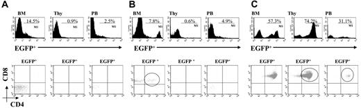 Figure 4. ICN1-induced T-ALL develops with delayed kinetics in Rag2-/- mice. Rag2-/- mice were reconstituted with Rag2-/- bone marrow transduced with mICN1-containing or empty retroviruses. Cell suspensions were stained for the expression of CD4 and CD8 markers, and FACS analysis was performed to determine EGFP+ percentages in peripheral blood (PB), bone marrow (BM), and thymus (THY) of Rag2-/- mice reconstituted with Rag2-/- bone marrow transduced with mICN1-containing retroviruses 2 weeks after BMT (A, top panels), 4 weeks after BMT (B, top panels), and 8 weeks after BMT (C, top panels). Percentages of EGFP+CD4+CD8+ cells from the same samples at 2, 4, and 8 weeks after BMT are also included (A-C, bottom panels). EGFP+CD4+CD8+ cells were never detected in peripheral blood and organs from Rag2-/- mice reconstituted with Rag2-/- bone marrow transduced with empty retroviruses (data not shown). Data are representative of at least 3 independent experiments.