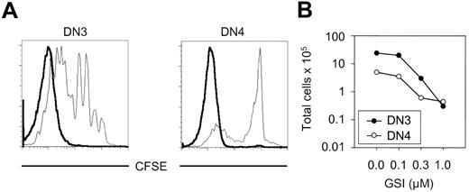 Figure 7. Analysis of proliferation and survival of DN3 and DN4 cells in the presence and absence of Notch signaling. (A) DN3 and DN4 cells derived from C57Bl/6 mice were labeled with CFSE and cocultured on OP9-DL1 monolayers with GSI (bold line) or without GSI (thin line) (1 μM). Proliferation was examined on day 7 by flow cytometric analysis of CFSE-labeled cells. (B) Cell counts for DN3 and DN4 cells derived from C57Bl/6 mice cocultured on OP9-DL1 monolayers with or without different concentrations of the GSI are shown. Cells were plated at an initial density of 5 × 104 cells/well, cultured in the presence of DMSO or increasing concentrations of GSI, and analyzed after 7 days of coculture. Total cellularity is plotted as a function of GSI concentration.