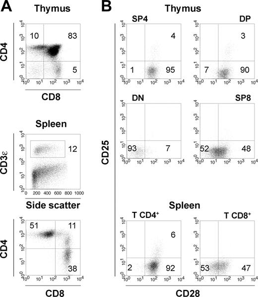 Figure 1. T-cell development in HIS (BALB-Rag/γ) mice. (A) FACS profiles gated on human CD45+ cells showing T-cell development in the thymus (top) and established T-cell pool in the periphery of 8- to 12-week-old HIS (BALB-Rag/γ) mice (middle). Distribution of human T cells according to CD4 and CD8 expression is also shown for spleen CD45+CD3+ T cells (bottom). (B) Surface expression of the costimulatory molecule CD28 and the IL-2Rα/CD25 in the DN (CD4-CD8-), DP (CD4+CD8+), SP4 (CD4+CD8-CD3+), SP8 (CD4-CD8+CD3+) thymocytes populations, and mature T CD4+ and T CD8+ of the spleen. Percentages corresponding to quadrant areas or regions are indicated inside each plot.
