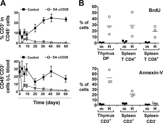 Figure 4. SA anti-CD28 treatment induces increased human thymic output despite T-cell depletion and high T-cell turnover in the periphery of HIS (BALB-Rag/γ) mice. (A) The percentage of CD3+ T cells among CD45+ cells (top) and the absolute number of human T cells (bottom) was monitored in the blood of IgG1 control (▪) and SA anti-CD28-treated mice (○) over a 2-month period (mean ± SEM). Representative results from 1 experiment out of 3 are shown. (B) Control wild-type BALB/c mice (m) and HIS (BALB-Rag/γ) mice (H) were treated for 1 day with BrdU and incorporation by cells of the indicated subsets was analyzed (top panel). Proportion of Annexin-V+ cells was also determined in the indicated populations (bottom panel). Representative results from 1 experiment out of 2 are shown. Horizontal bars indicate mean values.