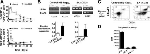 Figure 5. Peripheral accumulation of human suppressive CD4+CD25+icFoxP3+ T cells in treated HIS (BALB-Rag/γ) mice. (A) The percentage of CD25+ cells among CD3+CD4+ T cells (top) and their absolute number (bottom) was monitored in the blood of IgG1 control (▪) and SA anti-CD28-treated mice (○) over a 2-month period (mean ± SEM). Each point shows the mean value obtained from 4 to 9 mice, and this experiment is a representative out of a total of 3. (B) The expression of FOXP3 mRNA was analyzed at day 6 by RT-PCR in sorted human CD4+CD25+ thymocytes from both control (left) and treated (right) animals. The corresponding numeric results (FoxP3/actin ratio) are shown in the bottom graphs. Representative results from 1 experiment out of 3 are shown, and similar results were obtained from spleens. (C) Thymocytes of control (left) and treated (right) animals were stained for intracellular FoxP3 (icFoxP3) expression, and results show representative staining in gated CD4+ cells. (D) CD4+CD25high and CD4+CD25-thymocytes were sorted from 6-day-treated HIS (BALB-Rag/γ) mice and cultured for suppression assay, as described in “Materials and methods.” Values are representative of 3 independent experiments.