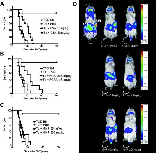 Figure 2. Effects of different doses of CSA, RAPA, and MMF on GVHD-related mortality. Data from 3 independent experiments are combined. (A) Percentage survival of animals receiving CSA 10 mg/kg (□, n = 12), CSA 50 mg/kg (▪, n = 12), or PBS (⋄, n = 12). The higher CSA dose improves survival (▪ versus ⋄, P = 0.032). (B) Percentage survival of animals receiving RAPA 0.5 mg/kg (○, n = 12), RAPA 1.5 mg/kg (•, n = 12), or PBS (⋄, n = 12). The higher RAPA dose improves survival (• versus ⋄, P = 0.029). (C) Percentage survival of animals receiving MMF 90 mg/kg (▵, n = 12), MMF 200 mg/kg (▴, n = 12), or PBS (⋄, n = 12), not significant (NS). Control animals received TCD-BM only (*). (D) Distribution of donor derived luc+ TCONV cells in Balb/c recipients at day 5 after BMT with coadministration of different doses of CSA (top row), RAPA (middle row), and MMFl (bottom row). At this time point the major TCONV expansion is found in cLNs, GIT, and SPL. Although the localization pattern of TCONV is conserved, proliferation is gradually reduced when different doses of immunosuppressants are administered.