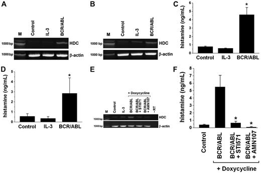 Figure 3. Detection of HDC and histamine levels in Ba/F3 cells inducibly expressing the BCR/ABL oncoprotein. (A-B) RT-PCR analysis of HDC mRNA expression in Ton.B210 cells (A) and Ton.B210-X cells (B) cultured in the absence of IL-3 (Control), in the presence of IL-3, or in the presence of doxycycline (1 μg/mL) to induce BCR/ABL for 24 hours. RT-PCR was performed using primers specific for HDC or β-actin (loading control). (C-D) Histamine levels in lysates of Ton.B210 cells (C) and Ton.B210-X cells (D) cultured in the absence of IL-3 (Control), in the presence of IL-3, or in the presence of doxycycline (1 μg/mL) to express BCR/ABL for 24 hours. Histamine was quantified by RIA. Results represent the mean ± SD from 3 independent experiments. *P < .05. (E) RT-PCR analysis of HDC mRNA expression in Ton.B210-X cells cultured in the absence of IL-3 (Control), in the presence of IL-3, or in the presence of doxycycline (BCR/ABL) for 24 hours. BCR/ABL-expressing cells were incubated with control medium, imatinib, 1 μM (BCR/ABL + STI571), or AMN107, 100 nM (BCR/ABL + AMN107) for another 24 hours. RT-PCR was performed using primers specific for HDC or β-actin (loading control). The RT omission control (-RT) is also shown. (F) Histamine levels (by RIA) in Ton.B210-X cells cultured in the absence of IL-3 (Control) or in the presence of doxycycline with or without inhibitory drugs (STI571, 1 μM; AMN107, 100 nM) for 24 hours. Results represent the mean ± SD from 3 independent experiments. *P < .05.