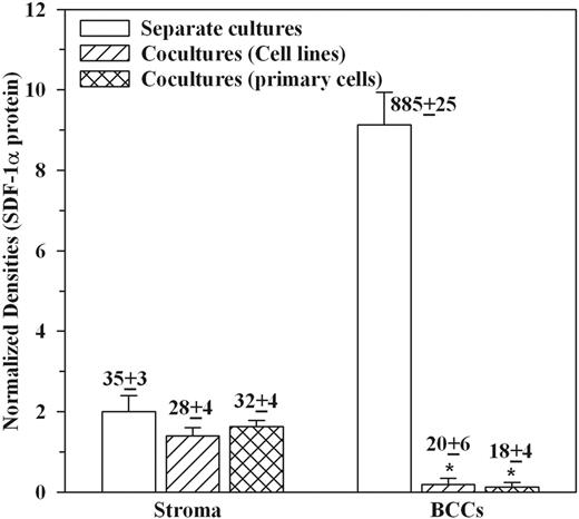 Figure 1. SDF-1 production in cocultures. Cocultures with BC cell lines (T47D, ZR-75-30, BT383) and primary BCCs (P1, P2, P4). Each BCC was studied with stroma from a different donor. At 80% confluence, BCCs were positively selected and each (106/mL) replated separately in stromal media. After 24 hours, the culture media were analyzed by protein microarrays and by ELISA for SDF-1α. The densities of internal positive controls were arbitrarily assigned values of 10 and then used as the base for unknowns. The ELISA values, in mean picograms per milliliter ± SD (n = 6), are placed above the respective bars. *P < .05 versus individual BCC culture.