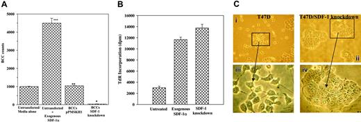 Figure 3. Role of SDF-1α in the proliferation of BCCs from cocultures. (A) Cocultures were performed with SDF-1 knockdown T47D, DU4475, and ZR-75-30. Control cocultures were untransfected or transfected with vector alone (pPMSKH1). When the untransfected cells achieved 80% confluence, 5 ng/mL SDF-1α was added to each culture. After 48 hours, confluence was achieved and, at that time, the nonadherent cells were discarded and the BCC subset was selected from the adherent population and then counted. The results are presented as the mean cell counts ± SD, n = 8. *P < .05 versus cultures with untransfected BCCs or cultures with untransfected cells and exogenous SDF-1α. **P > .5 versus untransfected BCCs. ***P < .05 versus untransfected/media alone. (B) The experiments described in panel A were repeated with the following modifications: 24 hours after the addition of SDF-1α,1 μCi/mL TdR was added and, after an additional 24 hours, the BCCs from both the adherent and nonadherent population were analyzed for TdR incorporation. The total disintegrations per minute (dpm) for untreated, SDF-1α–treated, and SDF-1 knockdown cells are presented as the mean ± SD, n = 5. (C) Representative cultures with T47D alone are shown for untransfected cells (i) and similar cells knockdown for SDF-1 (ii); panels iii-iv show the same clusters of cells at a higher magnification. At 80% confluence, cocultures, BCCs were selected and then counted. The results are presented as the mean ± SD of total cell counts. Images were visualized using a Nikon Eclipse TE 300 microscope (Nikon, Tokyo, Japan) equipped with a 10×/0.45 numerical aperture (NA; i-ii) or a 40×/0.8 NA (iii-iv) objective. Images were acquired using an RE Color 2.2.1 camera and SPOT for Windows version 3.5.9 (Diagnostic Instruments, Sterling Heights, MI), and were processed using Adobe Creative Site 2 Premium (Adobe Systems, San Jose, CA).