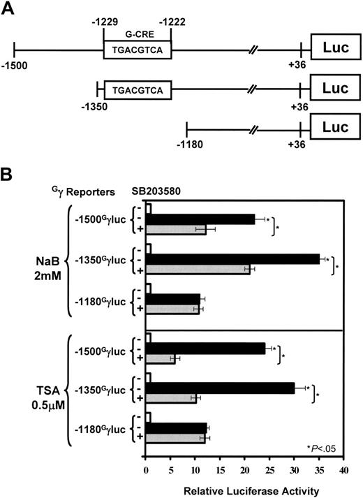 Figure 5. The G-CRE is required for Gγ-promoter activation by HDACIs. (A) Shown is a schematic diagram of the reporter plasmids established with Gγ-promoters truncated at nucleotides -1500, -1350, and -1180. (B) K562 cells were transfected with reporters along with β-galactosidase to control for transfection efficiency. Transfected K562 cells were treated with HDACIs in the absence (-) or presence (+) of 10 μM SB203580. The relative luciferase activity was calculated after correcting for total protein and β-galactosidase activity. The untreated samples (-, □) were normalized to 1. Data for NaB or TSA in the absence (▪) or presence () of SB203580 are shown as the mean ± SEM. The star and brackets are the same comparisons as defined in Figure 4A.
