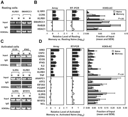 Figure 4. Association of differential gene expression and higher levels of H3K9 acetylation in memory CD8+ T cells. (A-B) Resting memory cell differentially expressed genes are associated with high levels of H3K9 acetylation. (A) The representative gel images of one gene with high H3K9 acetylation level (KLRB1) and one control gene (SMARCC1) are shown. N indicates naive; M, memory. (B) Three memory cell differential expressed and 3 similarly expressed genes as shown by microarray (left, n = 3), the real-time RT-PCR (middle, n = 5), and H3K9 acetylation levels (right, n = 8) between naive and memory CD8+ T cells. The significantly increased or similarly expressed genes were selected from the microarray data. The levels of H3K9 acetylation are significantly different between the differentially and similarly expressed genes (P < .05). Data are presented as mean ratio ± SEM (log10) for array and RT-PCR, and data are presented as the mean fraction of input ± SEM for H3K9 acetylation levels of naive and memory cells. (C-D) Activated memory cell differentially expressed genes are associated with high levels of H3K9 acetylation in resting memory CD8+ T cells. (C) The representative gel images of 4 genes with high H3K9 acetylation levels (ICOS, IFNG, IL2RA, and KLRB1) and 2 control genes (IL2RG and MYST2) are presented. (D) Nine activated memory cell highly expressed and 9 similarly expressed genes as shown by microarray (left, n = 3), the real-time RT-PCR (middle, n = 5), and H3K9 acetylation levels (right, n = 8) between naive and memory CD8+ T cells after 72 hours of stimulation. The significantly increased or similarly expressed genes were selected from the array data. The levels of H3K9 acetylation are significantly different between the differentially and similarly expressed genes (P < .01) in activated memory CD8+ T cells. Data are presented as the same as described in panel B.
