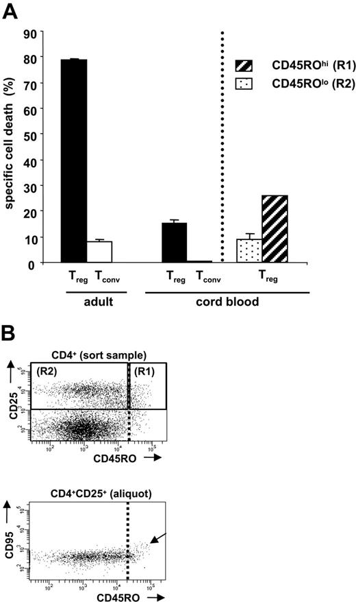 Figure 4. Resistance of cord blood Tregs toward CD95L-mediated cell death. (A) FACS-sorted adult Tregs (CD4+CD25hi), cord blood Tregs (CD4+CD25+), and their respective Tconvs were incubated with CD95L (1:20) for 10 hours, and specific cell death rates were determined by FACS analysis as described previously.12 Similarly, CD4+CD25+CD45ROlo T cells (R2) as well as CD4+CD25+CD45ROhi T cells (R1) were FACS sorted as shown in panel B, and all cells were incubated with CD95L (1:20) for 10 hours. Error bars represent SEM. (B) Enrichment of naive or memory cord blood Tregs by FACS sorting. Cord blood lymphocytes were stained with fluorochrome-labeled mAbs against CD4, CD25 and CD45RO. Previous to FACS sorting, one aliquot from the sort sample was additionally stained with anti-CD95 mAb to detect CD4+CD25+CD95hi T cells. Because CD4+CD25+CD95hi T cells cosegregate with CD45ROhi T cells (arrow), the sorting gate was set on CD45ROhi cells to separate CD4+CD25+CD45ROhi CD95hi memory T cells in R1 from the naive cord blood Tregs in R2. See the penultimate paragraph of “Results” for further explanation. One representative experiment of at least 3 independent experiments is shown.
