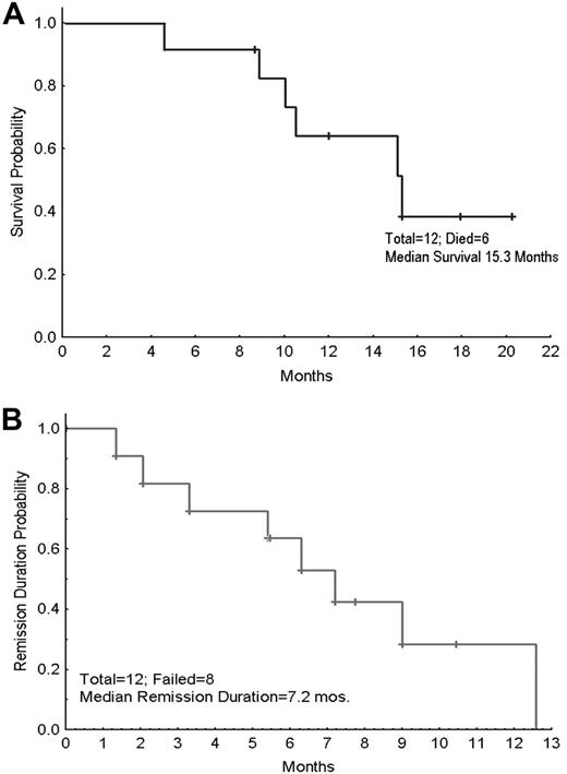Figure 1. Survival of responders. (A) Overall survival. (B) Disease-free survival. Tick marks indicate censored data.