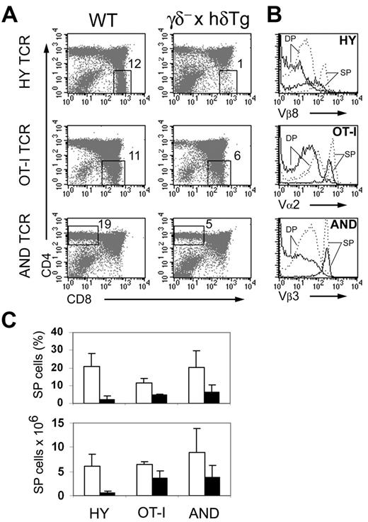 Figure 3. Impaired positive selection in γδ– × hδTg mice. (A) Dot plots show CD4 and CD8 expression in thymocytes from WT and γδ– × hδTg mice expressing transgenic HY (females), OT-I, or AND TCR. Numbers within dot plots indicate the percentage of CD8+ or CD4+ SP cells in the gated region. (B) Histograms depict transgenic TCR expression, assessed with anti-TCRVα or anti-TCRVβ antibodies, in DP and positively selected CD8+ (HY and OT-I) or CD4+ (AND) SP cells from WT (dotted line) and γδ– × hδTg (solid line) mice. (C) Percentages (top panel) and absolute numbers (bottom panel) of CD8+ (HY and OT-I) or CD4+ (AND) SP thymocytes in TCR transgenic WT (□) and γδ– × hδTg (▪) mice. Five to 8 mice per group were analyzed. Error bars indicate the mean plus or minus standard deviation.