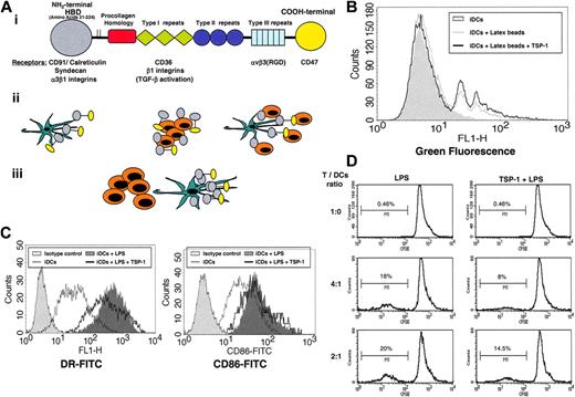 Figure 6. TSP-1, by itself, enhances apoptotic monocyte engulfment by iDCs, and inhibits iDC maturation and T-cell activation. (A) Proposed mechanisms of TSP-1's effect on iDCs. (Ai) TSP-1 structural and functional domains that are relevant to apoptotic cell clearance. The relevant interacting receptors for each domain are indicated. HBD indicates heparin binding domain. (Aii) Mechanisms of TSP-1 as a bridging molecule. TSP-1 may be expressed by phagocytes (Aii, left) or by apoptotic cells (Aii, middle) that also can secrete the N-terminal domain. Whether the source is the engulfing cell or the apoptotic cell, TSP-1 or the N-terminal domain serves as a bridge between apoptotic cells and phagocytes (Aii, right). (Aiii)Alternatively (no bridge), TSP-1 or the N-terminal domain may bind to iDCs and induce ameliorated phagocytosis and immune suppression, even in the absence of attached apoptotic cells. (B) TSP-1 enhances latex bead engulfment by iDCs. Green fluorescent latex beads were offered to iDCs at a 16:1 ratio, in the presence or absence of 2 μg/mLTSP-1. The gray-filled curve represents iDCs that were not exposed to green fluorescent latex beads. Of the TSP-1-treated iDCs, 22.6% ± 0.1% engulfed at least 1 latex bead, compared with 15.6% ± 1.8% in the absence of TSP-1, indicating approximately 45% augmentation of phagocytic capacity following TSP-1 exposure (P < .001). Data are representative of 3 experiments. (C) TSP-1 inhibits iDC maturation. iDCs were treated with 5 ng/mL LPS in the absence or presence of 1 μg/mL TSP-1, or remained untreated. Mean fluorescence decreased from 453 to 283 (38%, P < .001, representative of 3 experiments) for DR and from 53 to 21 (39%, P < .001, representative of 3 experiments) for CD86. The bright-filled curve represents isotype control. (D) TSP-1 inhibits T-cell activation. CFSE-labeled T cells were cocultured in different ratios with LPS-treated DCs (left) or DCs that were exposed to TSP1 for 5 hours before LPS treatment (right). Exposure to TSP1 prior to LPS treatment inhibited DC-induced T-cell activation by 27% at 2:1 T-cell/DC ratio and by 50% at 4:1 T-cell/DC ratio.
