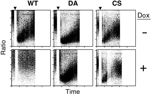 Figure 7. PTPROt overexpression decreases Ca2+ levels. Tet-inducible WT or mutant (DA and CS) PTPROt clones were cultured with or without Dox, serum starved, loaded with Indo-1 am, and analyzed for Ca2+ influx. Baseline values are represented on the left. At 30 seconds, cells were stimulated with goat anti–human IgG (▾). Subsequent Ca2+ flux is indicated on the right. The fluorescence ratio (530 nm/408 nm) is shown on the y-axis in relation to time on the x-axis. Note that a decrease in indo-1 am fluorescence correlates with an increase in Ca2+ levels. Each point represents the ratio for a single cell. The density of shading is proportional to cell number.
