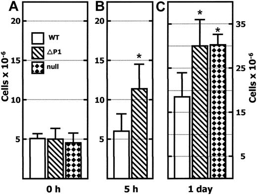 Figure 1. Greater leukocyte accumulation in the peritoneum of Siat1ΔP1 and Siat1-null mice after intraperitoneal thioglycollate elicitation. Peritoneal lavage was recovered from wild-type C57BL/6 (WT), Siat1ΔP1 (ΔP1), and Siat1-null (null) animals in the absence of (0 hour; A), 5 hours after (B), and 1 day after (C) elicitation with 1 mL 4% wt/vol intraperitoneal thioglycollate. Viable cells were counted by hemocytometer after staining for trypan-blue exclusion. Age- and sex-matched mice were used. (A) n = 8WT, n = 8 ΔP1, and n = 4 null mice. (B) n = 8WT, n = 8 ΔP1 mice. (C) n = 8 WT, n = 8 ΔP1, and n = 4 null mice. *Mutant animal data points where statistically significant differences with corresponding WT have been reached. Statistical significance was noted as follows: P = .002, WT and ΔP1 (B); P = .002, WT and ΔP1 (C); and P = .001, WT and null (C). Error bars represent 1 standard deviation from the mean of each group.