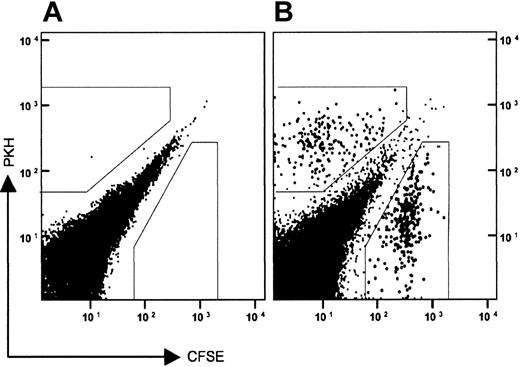 Figure 3. PKH26- and CFSE-tagged donor cells migrate to the peritonea of thioglycollate-elicited recipients. Total bone marrow cells from a Siat1ΔP1 mouse were separately labeled with either PKH26-red or CFSE. The tagged donor cells were recombined, and pooled cells were injected by tail vein into a recipient mouse, also Siat1ΔP1. Concomitant with the transfer of the tagged donor cells, peritonitis was elicited by intraperitoneal injection of 1 mL of 4% (wt/vol) thioglycollate. Peritoneal cells were recovered 6 hours later, and the presence of tagged donor cells was profiled by flow cytometry. (A) Recipient animal that did not receive tagged donor cells. (B) Recipient animal receiving 107 pooled donor cells. Gates (boxed regions, B) were used to determine the PKH/CFSE ratios of tagged cells, as summarized in Table 2. Typically, up to 0.4% of the labeled donor cells are recovered in the peritonea of the thioglycollate-elicited recipients.