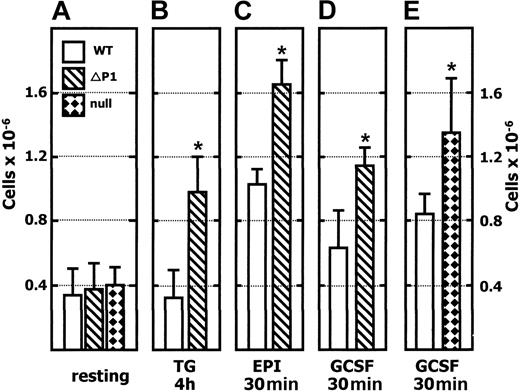 Figure 4. Greater neutrophilia in Siat1ΔP1 and Siat1-null animals. Peripheral blood was collected from mice in the absence of treatment (resting, A) or after the following administrations: TG 4h, 4 hours after intraperitoneal 4% (wt/vol) thioglycollate (B); EPI 30m, 30 minutes after intravenous 0.25 mg/kg epinephrine (C); GCSF 30m, 30 minutes after intravenous G-CSF administration (D-E). Collected blood was analyzed by flow cytometry after the lysis of red blood cells, and the granulocyte population (7/4+/1A8+) was calculated by taking the percentage of the appropriate PE-7/4 and FITC-1A8 events against total events for each flow cytometric acquisition. *Mutant animal data points at which statistically significant differences with corresponding WT have been reached. (A) n = 21, WT; n = 21, Siat1ΔP1; n = 4, Siat1-null. (B) n = 4, WT; n = 4 Siat1ΔP1; P = .003. (C) n = 4, WT; n = 4, Siat1ΔP1; P < .001. (D) n = 8, WT; n = 6 Siat1ΔP1; P < .001. (E) n = 4, WT; n = 4 Siat1-null; P = .03. Error bars indicate 1 standard deviation from the mean of each group.
