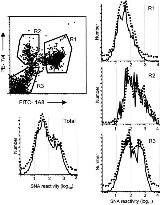 Figure 5. Flow cytometric analysis of siat1ΔP1 and WT bone marrow cells. Bone marrow cells were labeled with FITC-1A8 (anti-Ly6G), PE-7/4 (anti–polymorphonuclear cell, 40-kDa antigen), and biotinylated SNA, as described in “Flow cytometric profiling of inflammatory cells.” Unfractionated bone marrow cells (Total), and differentially flow-sorted populations R1, R2, and R3 were analyzed for SNA binding. SNA binding profiles of wild-type (dashed lines) and Siat1ΔP1 (solid lines) cells are compared.