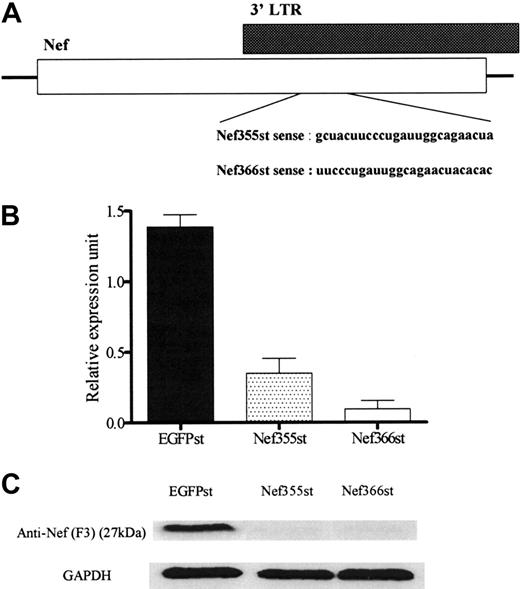 Figure 1. siRNA target sequences in nef. (A) Targets of siRNAs against the U3-overlapping region of HIV-1NL432 Nef and their sequences. Nef-expressing HeLa CD4 cells were transfected either with 2.5 μM egfp siRNAs (control: EGFPst) or nef siRNAs (Nef355st or Nef366st). At 48 hours after transfection, these cells were lysed to obtain total RNA and protein. (B) Total RNA was extracted and analyzed by qRT-PCR. The level of nef mRNA expression was normalized with that of elongation factor 1α (EF-1α) mRNA expression (nef /EF-1α). The data represent the expression level of nef mRNA relative to that of the control as 100%. The data represent the average ± SD of 3 independent experiments. (C) The cell lysates were subjected to 12.5% SDS-PAGE and immunoblotted with anti-Nef mAb.