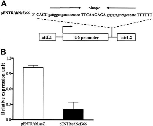 Figure 2. RNAi by transfection with shRNA expression vectors. (A) Schematic of the expression vectors (pENTR/shRNA) encoding shRNAs of Nef366 or lacZ, designated as pENTR/shNef366 and pENTR/shLacZ, respectively, in which expression is driven by the human U6 polymerase III promoter. (B) Nef-expressing HeLa-CD4 cells were transfected either with 1.0 μg pENTR/shNef366 or pENTR/shLacZ and cells were harvested 72 hours after transfection. Total RNA was extracted and analyzed by qRT-PCR. The data represent the average ± SD of 3 independent experiments.