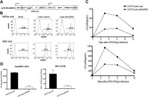Figure 3. Inhibition of HIV-1 replication in U937 cells by lentivirus-mediated shRNA. (A) The structure of the shRNA lentiviral expression vector. The HIV-1–based lentivirus vector for expressing shRNA was constructed using Gateway technology. pCS-EG/shRNA consisted of U6-shRNA upstream of an EF1α promoter–driven EGFP expression cassette, which allowed simultaneous expression of shRNA and EGFP. (B) U937 cells were infected with lentivirus expressing either shNef366 (Lenti shNef366) or shLacZ (Lenti control) at an MOI of 1. After 2 hours of infection, cells were washed and maintained in culture. Cells expressing EGFP were analyzed by FACS, and EGFP+ cells were collected. EGFP+ cells were analyzed by FACSaria 1 week later (designated as U937/Lenti control and U937/Lenti shNef366). (C) U937/Lenti cont or U937/Lenti shNef366 cells (1 × 105/well) were infected with HIV-1NL432, and the culture supernatants of these cells were collected at 3- or 4-day intervals after infection. The level of p24 antigen in the culture supernatants was measured by ELISA. (D) HIV-1–infected cells were collected and total DNA was prepared 12 hours after infection. Total HIV-1 and 2LTR DNA was analyzed by qRT-PCR. The amount of HIV-1–specific DNA per cell was normalized to β-globin gene expression. The data represent the average ± SD of 3 independent experiments.