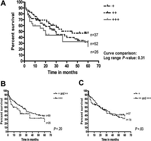 Figure 4. Survival in 115 DLBCLs in relation to the proportion of MT-positive tumor-infiltrating macrophages. No significant differences were seen between the 3 groups of few, moderate, and many (A), between few versus moderate/many (B), or between few/moderate versus many (C) MT-positive macrophages.
