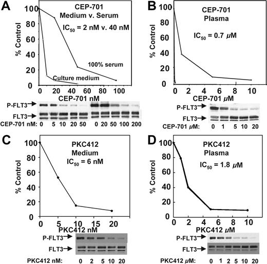 Figure 1. FLT3 inhibition by CEP-701 and PKC412 in culture medium compared with plasma. TF/ITD cells were incubated with the indicated concentrations of drug for 2 hours, and then FLT3 was immunoprecipitated from cell lysates and resolved by electrophoresis as described in “Patients, materials, and methods,” under “FLT3 phosphorylation.” Immunoblots were probed with antiphosphotyrosine and then stripped and reprobed with anti-FLT3. Densitometry results from the immunoblots were plotted as percent untreated. The calculated IC50 values shown were derived using linear regression analysis. (A) CEP-701, medium versus serum. (B) CEP-701, plasma. (C) PKC412, medium versus serum. (D) PKC412, plasma.