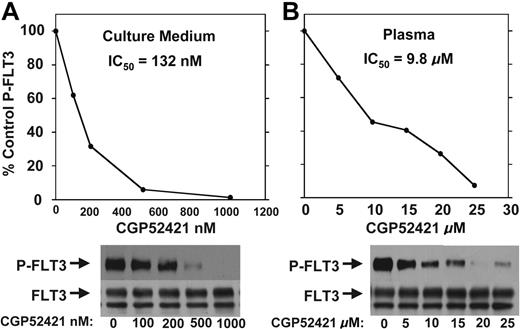 Figure 5. CGP52421 inhibition of FLT3 autophosphorylation in culture medium compared with plasma. TF/ITD cells were incubated with the indicated concentrations of CGP52421 in culture medium with 10% FBS (A) or plasma (B) for 2 hours and then analyzed for FLT3 autophosphorylation as in Figure 1.