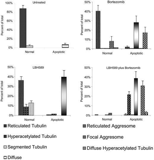 Figure 6. Bortezomib-induced aggresome formation and LBH589-induced α-tubulin hyperacetylation are augmented in combination. Patterns of α-tubulin acetylation and aggresome formation were classified as described in “Materials and methods.” Cell counts were performed on at least 150 cells in each treatment group. Morphologic patterns defined by acetyated α-tubulin were further classified based on nuclear appearance to be either normal or apoptotic. A representative set of counts from 3 separate experiments is shown. Data represent means ± SD.