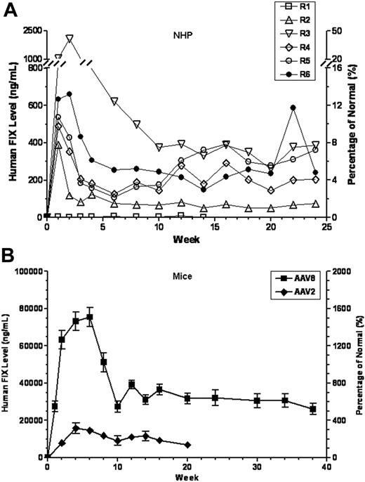Figure 1. Therapeutic levels of circulating hFIX achieved in AAV8-naive mice and rhesus monkeys. Levels of hFIX were determined by ELISA and presented on the left y-axis, and the corresponding percentage of normal FIX levels (5000 ng/mL) is presented on the right y-axis. (A) AAV8-naive monkeys received 5 × 1012 vg/kg AAV8-hFIX vectors via direct intrahepatic artery injection. (B) C57Bl/6 mice received 1 × 1011 vg/mouse (ie, 4 × 1012 vg/kg) AAV8-or AAV2-hFIX by direct intraportal vein injection. Results presented here are means ± SEM from all data collected from 3 independent experiments comparing 3 lots of AAV8 and 2 lots of AAV2 vectors. Each time point consists of a minimum of 3 mice or a maximum of 21 mice.