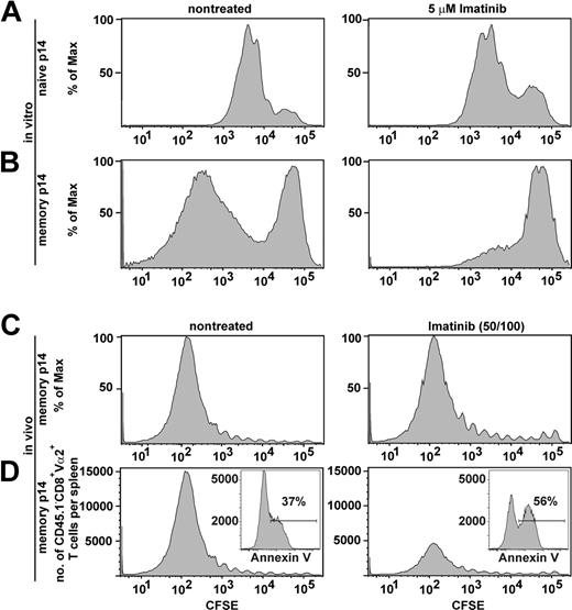 Figure 6. Cell-cycling analysis of memory p14 T cells in vitro and in vivo. CFSE-labeled naive (4 × 106) (A) and memory p14 splenocytes (4 × 106) (B) were restimulated in vitro with irradiated gp33-pulsed splenocytes in the presence of 5 μM imatinib or DMSO as a solvent control. Four days later, CFSE dilution of Vα2+CD8+ was assessed by flow cytometry. (C-D) CFSE-labeled memory p14 splenocytes (5.1 × 106) containing 3.3 × 105 gp33-specific memory CD8+ T cells (Vα2+CD45.1–) were injected intravenously into imatinib-treated (high-dose 50/100 regimen) and nontreated CD45.1+ recipients. Sixteen hours later, the mice were infected intravenously with 1200 pfu LCMV. CFSE dilution of specific T cells (Vα2+CD8+CD45.1–CFSE+) was assessed by flow cytometry 4 days after infection. (C) Percentage of proliferating specific T cells in imatinib-treated and nontreated mice. (D) Absolute number of gp33-specific T cells in imatinib-treated and nontreated mice per spleen. (Inset) Percentage of annexin V+ cells within Va2+CD8+CD45.1– cells in imatinib-treated and nontreated mice. One representative histogram of 4 to 6 samples per group is shown.