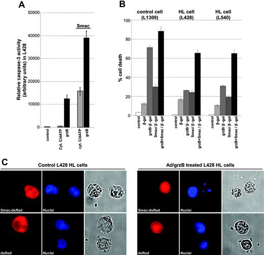 Figure 3. Smac enhances grzB-induced caspase activity and cell death. (A) Cytosolic extracts of L428 HL cells were prepared, and the protein content was normalized (10 μg/μL). Caspase activation was initiated by addition of cytochrome c/dATP or recombinant grzB (20 ng) in the absence or presence of Smac N7 peptide (10 μM). After incubation for 1 hour at 30°C, relative caspase-3 activity was measured by using DEVD-AFC as substrate. (B) Cells (5 × 105) were transfected using Chariot as vehicle, with β-galactosidase alone, in combination with either recombinant grzB or Smac N7 peptide, or in combination with recombinant grzB and Smac N7 peptide. Cell death was determined after 2 hours. Data are mean ± SD values from 3 individual experiments performed in triplicate. (C) L428 HL cells were transiently transfected with Ub-Smac-dsRed or Ub-dsRed (red). Cells were left untreated or treated with grzB/Ad. After fixation, nuclei were stained (Hoechst 33258) (blue) and analyzed by a motorized inverted microscope (Olympus Ix81; Tokyo, Japan) using a 63×/1.40 numerical aperture Planapo oil objective. Images were acquired using analy-SIS software (Soft Imaging System, Münster, Germany) and were further processed and assembled using Power-Point (Microsoft, Redmond, WA).