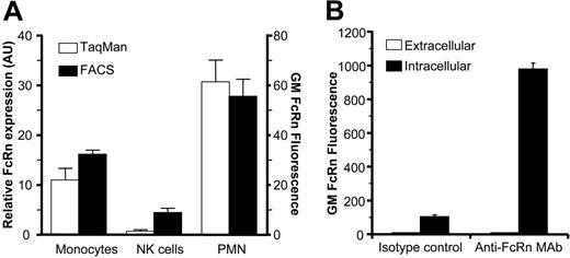 Figure 1. Expression of FcRn in human blood monocytes, NK cells, and PMNs. (A) FcRn mRNA and protein levels in freshly isolated human monocytes, NK cells, and PMNs as measured by real-time quantitative RT-PCR (AU defined as a ratio of ABL expression) and flow cytometry (geometric mean fluorescence). FcRn expression in cells was detected by mAb 22H4C11 in fixed and permeabilized cells. (B) FcRn is localized intracellularly in resting PMNs. Freshly isolated PMNs or paraformaldehyde-fixed and saponin-treated PMNs were stained with mouse anti-FcRn mAb 1G3 and measured by FACS to detect extracellular and intracellular FcRn levels, respectively. (A-B) Data are presented as means plus standard deviations. Data are representative of at least 5 experiments.