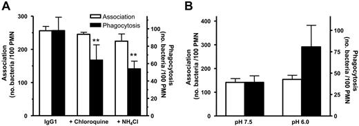 Figure 5. Effect of pH on IgG1-mediated phagocytosis. (A) The V-ATPase inhibitor chloroquine and the weak base NH4Cl inhibit phagocytosis but have no effect on association of IgG1-osonized pneumococci to PMNs. (B) Phagocytosis is increased in medium of pH 6.0 but has no effect on association of IgG1-opsonized pneumococci. **P < .01 when compared with WT by ANOVA. Data represent means plus standard deviations and are representative of at least 3 individual experiments.