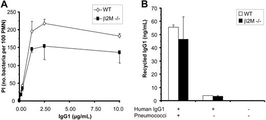 Figure 6. Recycling of IgG is not responsible for enhanced phagocytosis mediated by FcRn. (A) Effect of IgG level on phagocytosis of pneumococci by wild-type and β2M-/- mouse PMNs. Note that phagocytosis by β2M-/- PMNs is more impaired at higher concentrations of human IgG1. (B) Recycling of human IgG1 by wild-type and β2M-/- mouse PMNs. Wild-type mouse PMNs and β2M-/- PMNs were allowed to take up human IgG1 antiserotype 6B mAb (10 μg/mL) for 5 minutes at 37°C in the presence of serotype 6B pneumococci. After extensive washing, cells were incubated for an additional 30 minutes in medium to allow for exocytosis/recycling of IgG, and supernatants were subsequently analyzed for the presence of human anti-6B pneumococcal antibodies by ELISA. Control samples in which mouse PMNs were incubated with IgG1 only (without bacteria) did not result in significant recycling. Experiments were repeated 4 times, with essentially identical results. Data represent means plus or minus standard deviation.