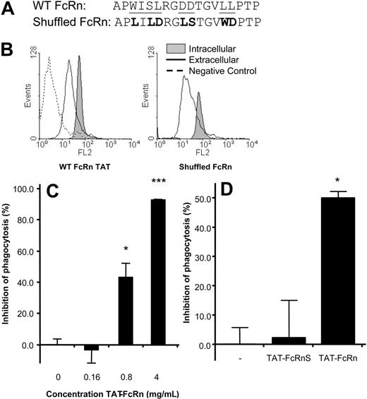 Figure 7. Effect of FcRn-TAT peptides on phagocytosis of IgG-opsonized pneumococci. (A) Sequence of the FcRn tail included in the TAT peptides. Signaling motifs of FcRn documented within the FcRn intracellular tail, the tryptophan motif, the 2 aspartic acids, and the dileucine motif are underlined (FcRn WT). Shuffled amino acids in the control peptide with otherwise identical composition are shown in bold (shuffled FcRn). (B) Both wild-type and the shuffled control peptide are translocated over the plasma membrane. Biotinylated TAT peptides were incubated with PMNs. Extracellular staining was done on fixed PMNs, and internalized TAT peptides were detected on fixed and permeabilized cells. (C) WT FcRn-TAT peptides inhibit internalization of IgG1-opsonized bacteria. (D) Control FcRnS peptides had no effect on phagocytosis of IgG1-opsonized pneumococci (experiments were carried out with 0.8 mg/mL TAT peptides). Experiments were repeated 3 times, yielding comparable results. Data in panels C and D represent means plus or minus standard deviations. *P < .05; **P < .001 when compared with WT.