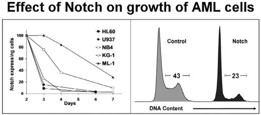 Figure.1. Effect of Notch on growth of AML cells