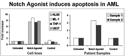 Figure.2. Notch Agonist induces apoptosis in AML