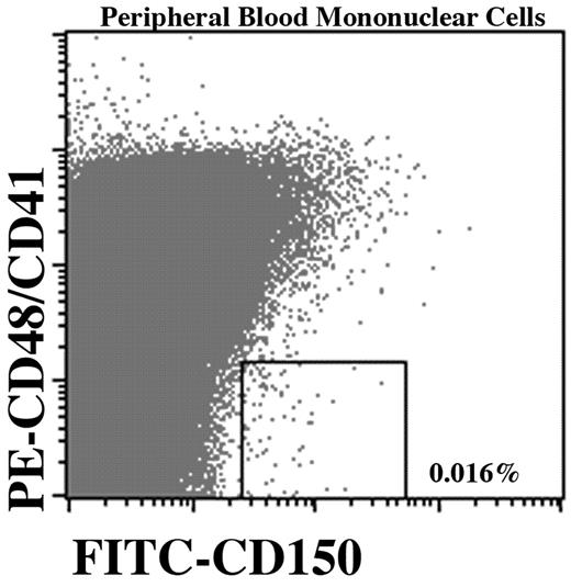 Peripheral Blood Mononuclear Cells