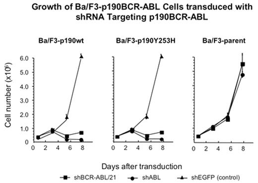 Growth of BA/F3-p190BCR-ABL Cells transduced with shRNA Targeting p190BCR-ABL